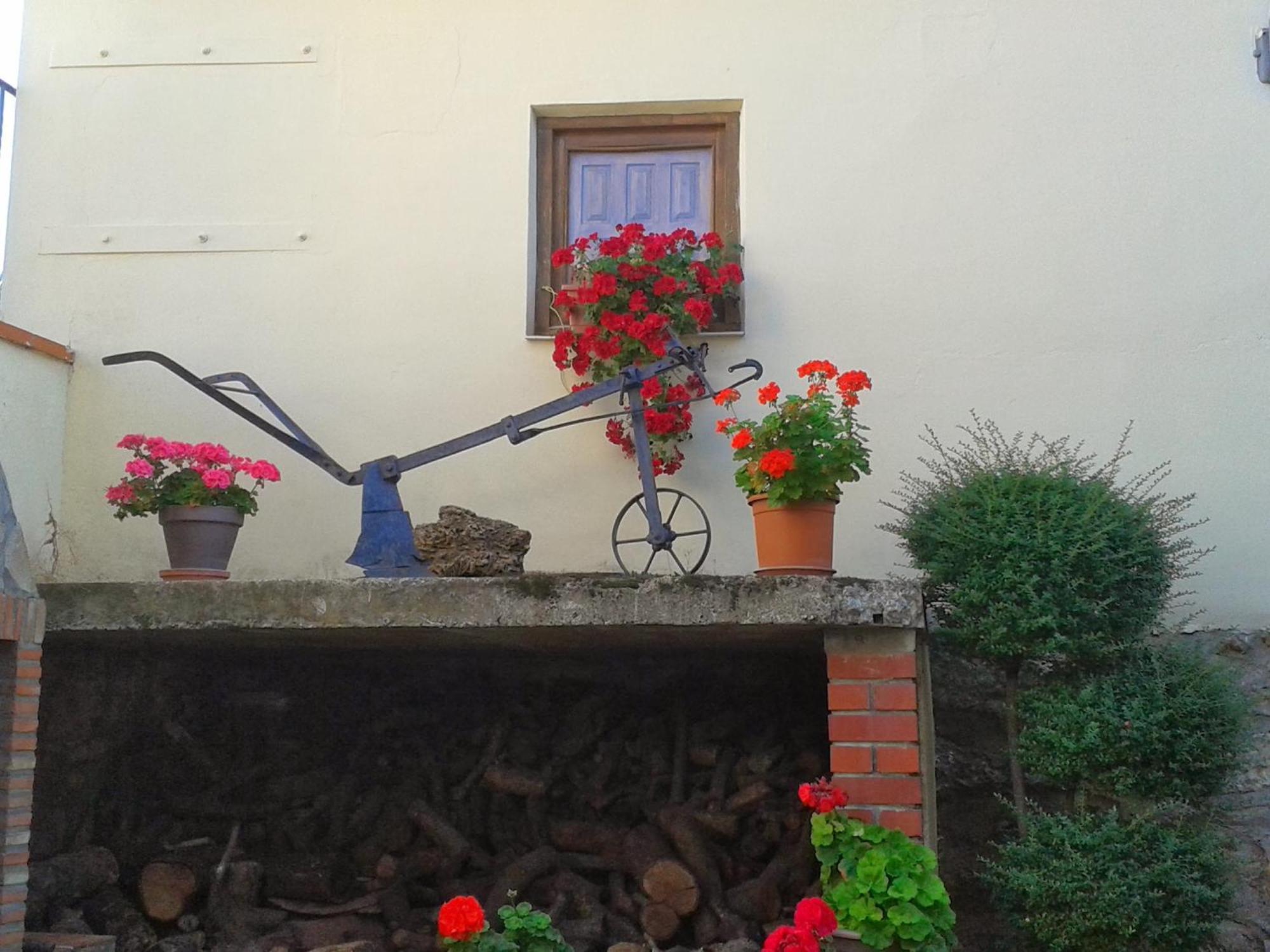 La Posada De Clotilde 셀라 외부 사진